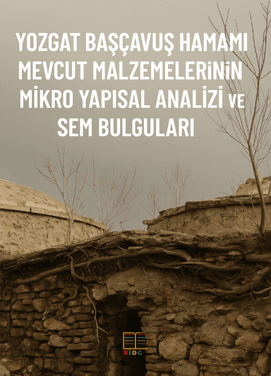 YOZGAT BAŞÇAVUŞ HAMAMI MEVCUT MALZEMELERİNİN MİKRO YAPISAL ANALİZİ VE SEM BULGULARI kapak görseli