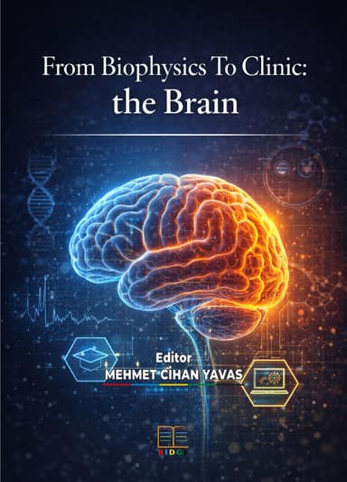 From Biophysics To Clinic: the Brain kapak görseli
