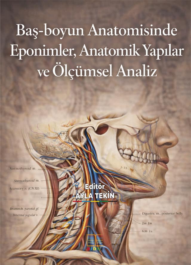 Baş-boyun Anatomisinde Eponimler, Anatomik Yapılar  ve Ölçümsel Analiz kapak görseli