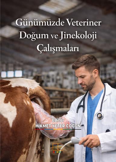 Günümüzde Veteriner Doğum ve Jinekoloji Çalışmaları kapak görseli