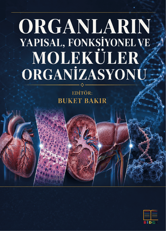 Organların Yapısal, Fonksiyonel ve Moleküler Organizasyonu kapak görseli