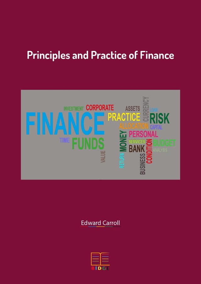 PRINCIPLES AND PRACTICE OF FINANCE kapak görseli