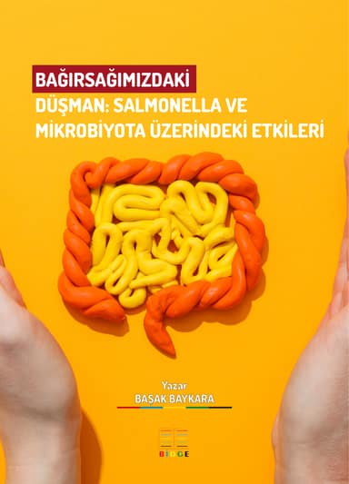 BAĞIRSAĞIMIZDAKİ DÜŞMAN: SALMONELLA VE MİKROBİYOTA ÜZERİNDEKİ ETKİLERİ kapak görseli