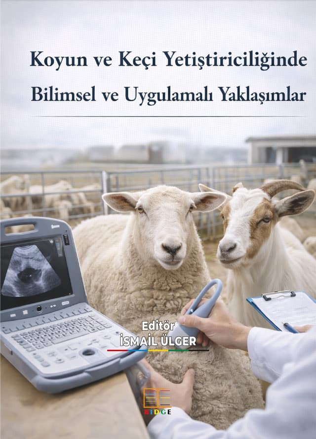 Koyun ve Keçi Yetiştiriciliğinde Bilimsel Ve Uygulamalı Yaklaşımlar kapak görseli