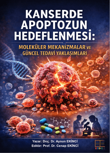 KANSERDE APOPTOZUN HEDEFLENMESİ: MOLEKÜLER MEKANİZMALAR VE GÜNCEL TEDAVİ YAKLAŞIMLARI kapak görseli