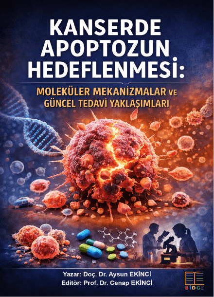 KANSERDE APOPTOZUN HEDEFLENMESİ: MOLEKÜLER MEKANİZMALAR VE GÜNCEL TEDAVİ YAKLAŞIMLARI kapak görseli