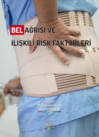 BEL AĞRISI VE İLİŞKİLİ RİSK FAKTÖRLERİ kapak görseli