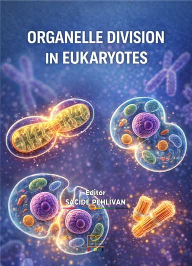ORGANELLE DIVISION IN EUKARYOTES kapak görseli