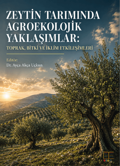 Zeytin Tarımında Agroekolojik Yaklaşımlar: Toprak, Bitki ve İklim Etkileşimleri kapak görseli