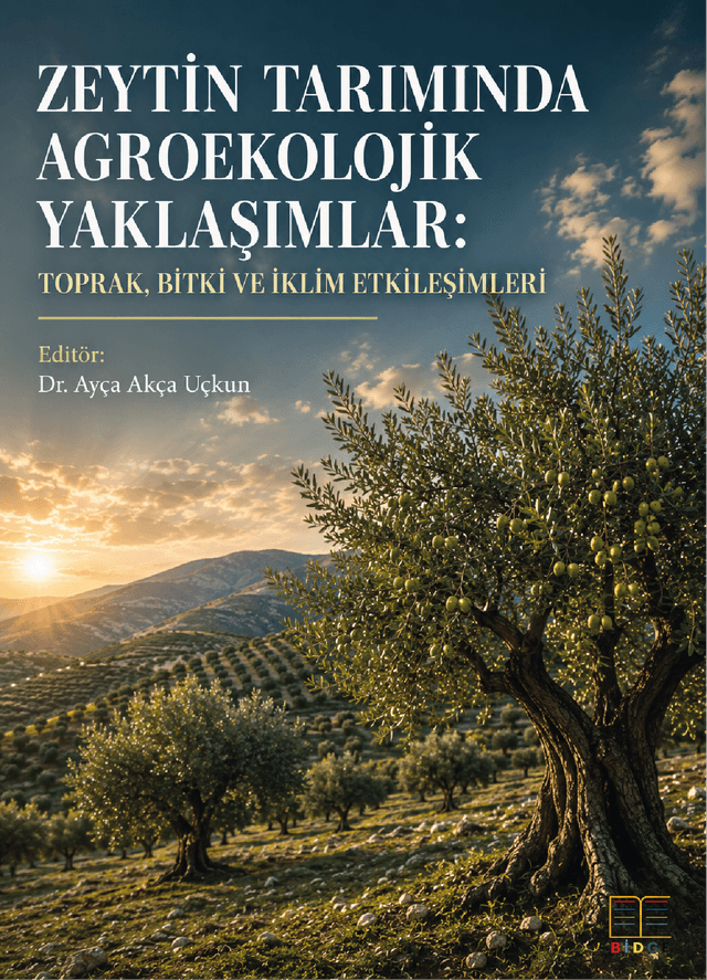 Zeytin Tarımında Agroekolojik Yaklaşımlar: Toprak, Bitki ve İklim Etkileşimleri kapak görseli