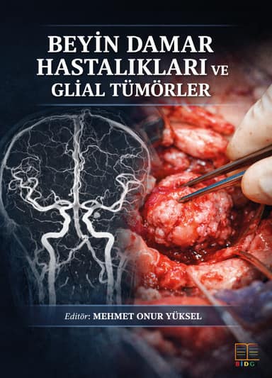 Beyin Damar Hastalıkları ve Glial Tümörler kapak görseli