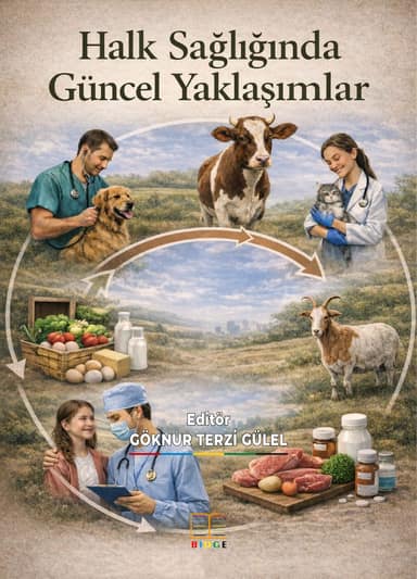 Halk Sağlığında Güncel Yaklaşımlar kapak görseli