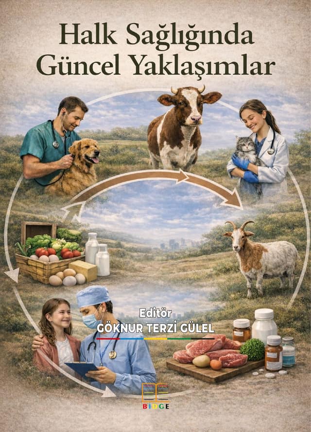 Halk Sağlığında Güncel Yaklaşımlar kapak görseli