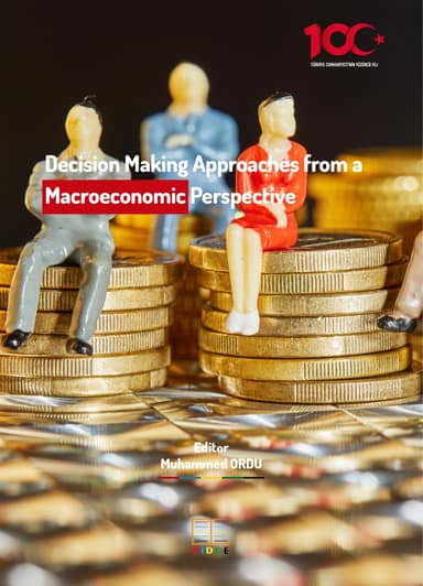 Decision Making Approaches from a Macroeconomic Perspective kapak görseli