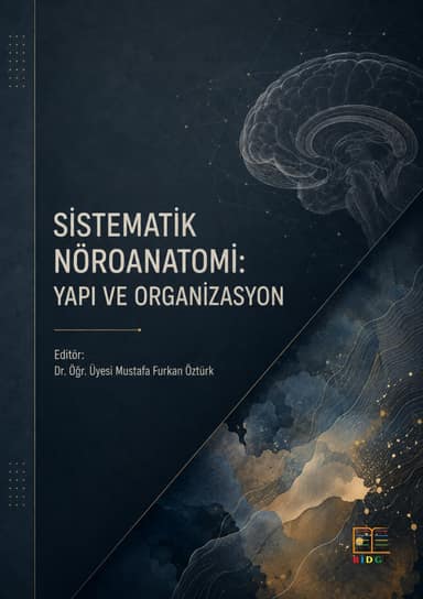 Sistematik Nöroanatomi: Yapı ve Organizasyon kapak görseli