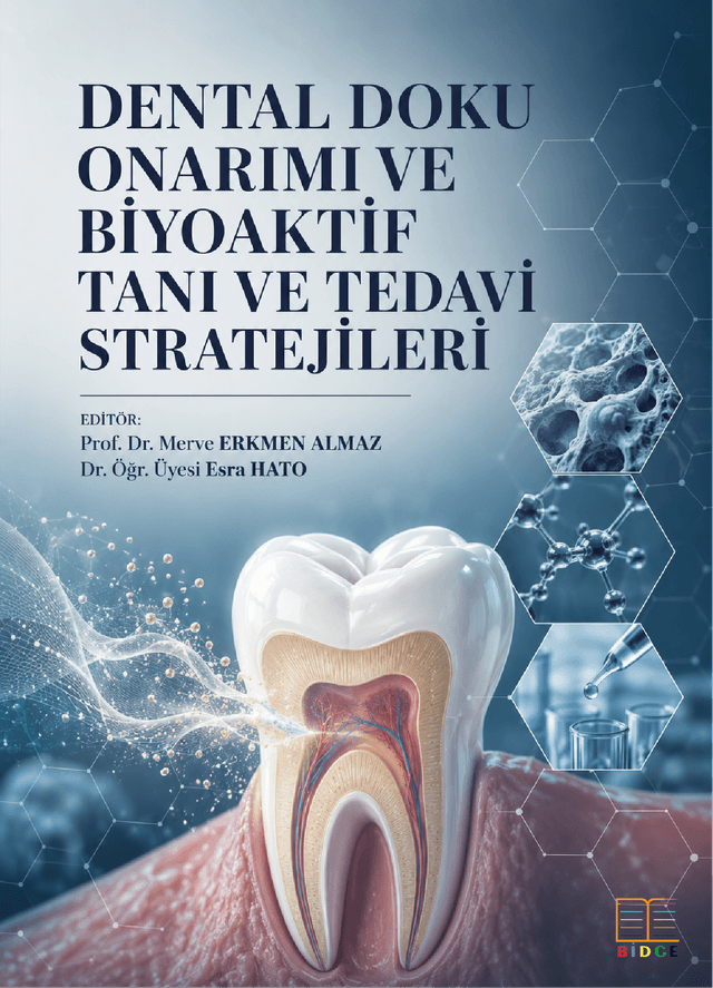 Dental Doku Onarımı ve Biyoaktif Tanı Ve Tedavi Stratejileri kapak görseli