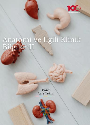 Anatomi ve İlgili Klinik Bilgiler-II kapak görseli