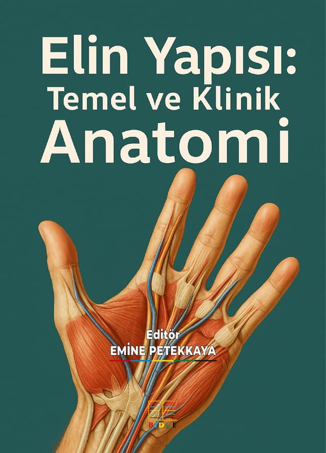 Elin Yapısı: Temel ve Klinik Anatomi kapak görseli