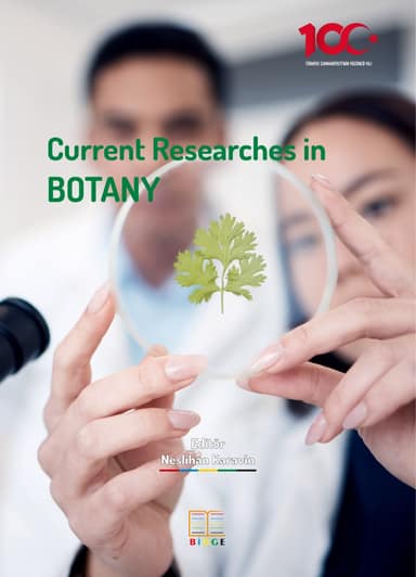 Current Researches in Botany kapak görseli
