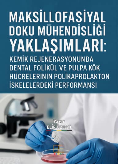 MAKSİLLOFASİYAL DOKU MÜHENDİSLİĞİ YAKLAŞIMLARI: KEMİK REJENERASYONUNDA DENTAL FOLİKÜL VE PULPA KÖK HÜCRELERİNİN POLİKAPROLAKTON İSKELELERDEKİ PERFORMANSI kapak görseli