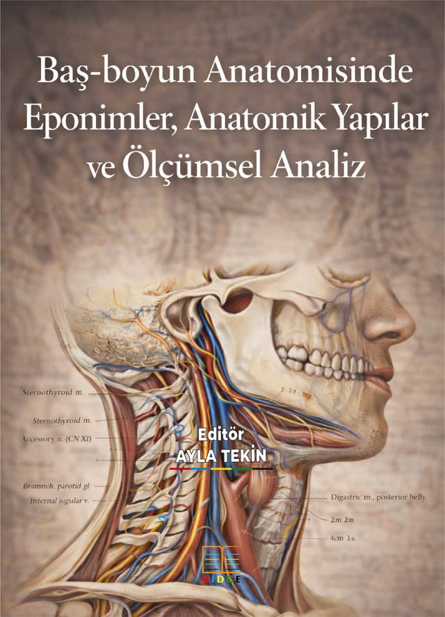 Baş-boyun Anatomisinde Eponimler, Anatomik Yapılar  ve Ölçümsel Analiz kapak görseli