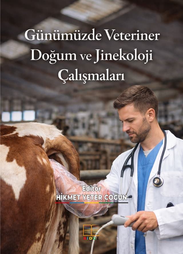 Günümüzde Veteriner Doğum ve Jinekoloji Çalışmaları kapak görseli