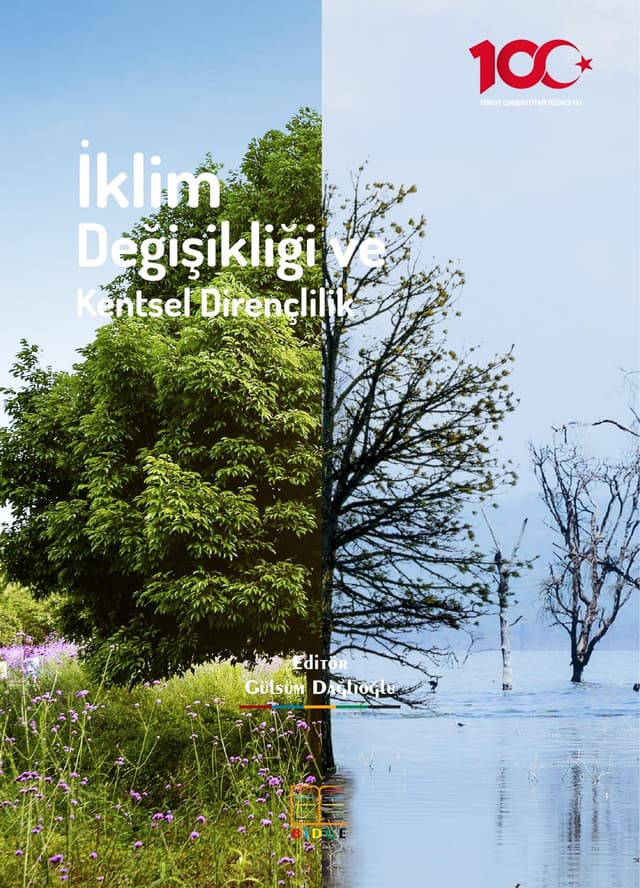 İklim Değişikliği ve Kentsel Dirençlilik kapak görseli
