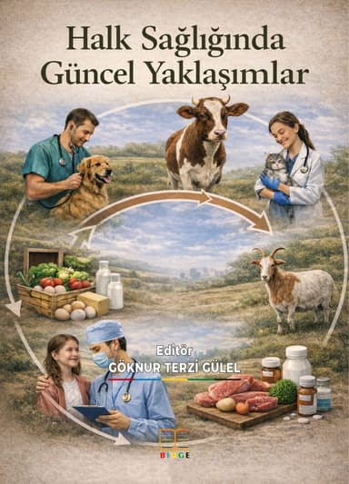 Halk Sağlığında Güncel Yaklaşımlar kapak görseli