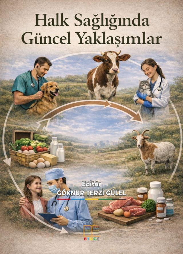 Halk Sağlığında Güncel Yaklaşımlar kapak görseli