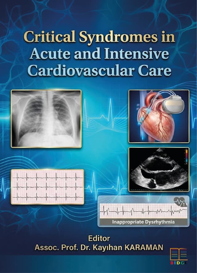 Critical Syndromes in Acute and Intensive Cardiovascular Care kapak görseli