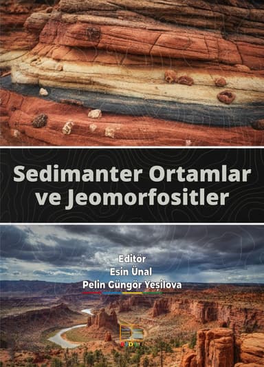 Sedimanter Ortamlar ve Jeomorfositler kapak görseli