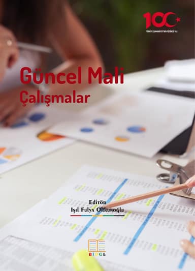 Güncel Mali Çalışmalar kapak görseli