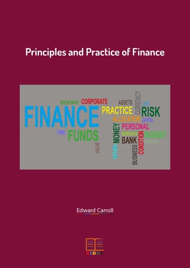 PRINCIPLES AND PRACTICE OF FINANCE kapak görseli