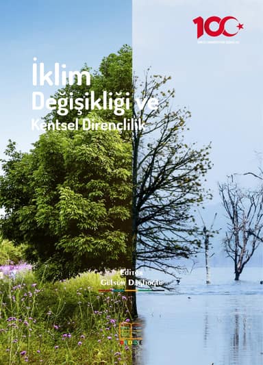 İklim Değişikliği ve Kentsel Dirençlilik kapak görseli