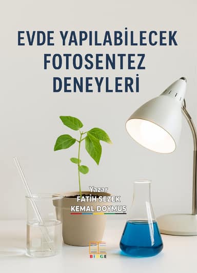 EVDE YAPILABİLECEK FOTOSENTEZ DENEYLERİ kapak görseli