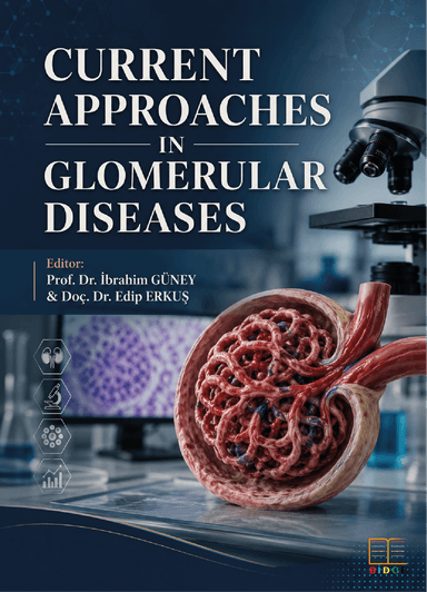 Current Approaches in Glomerular Diseases kapak görseli