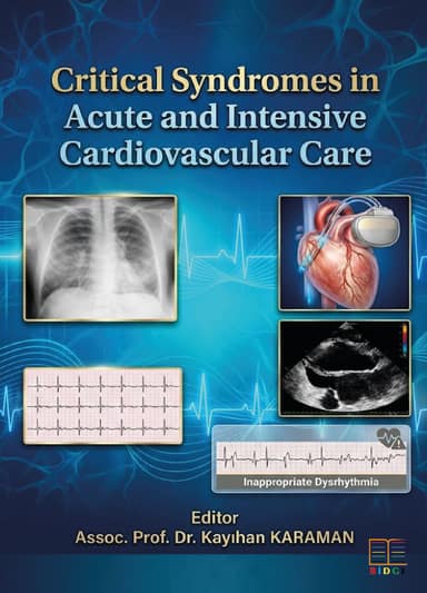 Critical Syndromes in Acute and Intensive Cardiovascular Care kapak görseli